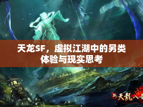天龙SF，虚拟江湖中的另类体验与现实思考