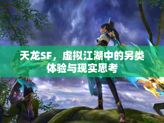 天龙SF，虚拟江湖中的另类体验与现实思考