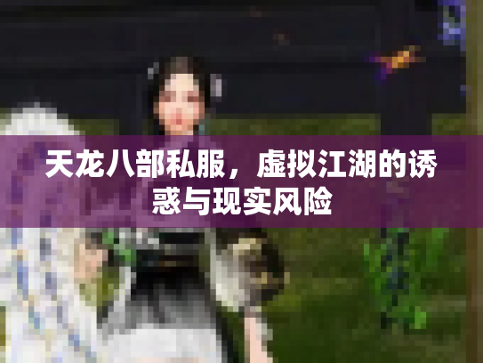 天龙八部私服，虚拟江湖的诱惑与现实风险