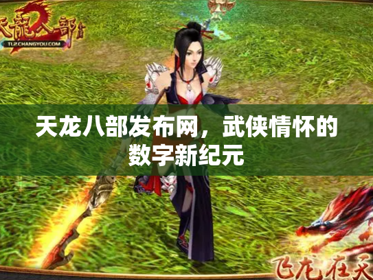 天龙八部发布网，武侠情怀的数字新纪元