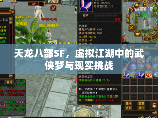 天龙八部SF，虚拟江湖中的武侠梦与现实挑战