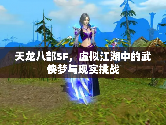 天龙八部SF，虚拟江湖中的武侠梦与现实挑战