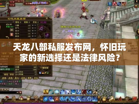 天龙八部私服发布网，怀旧玩家的新选择还是法律风险？