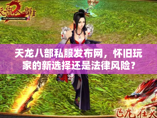 天龙八部私服发布网，怀旧玩家的新选择还是法律风险？