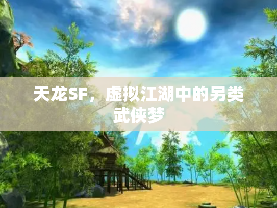 天龙SF，虚拟江湖中的另类武侠梦