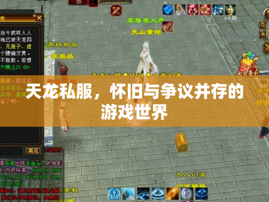 天龙私服，怀旧与争议并存的游戏世界