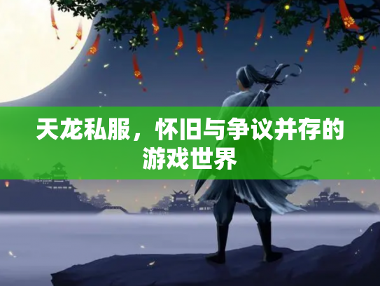 天龙私服，怀旧与争议并存的游戏世界