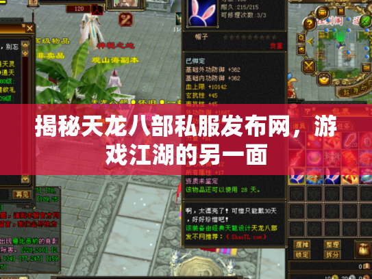 揭秘天龙八部私服发布网，游戏江湖的另一面