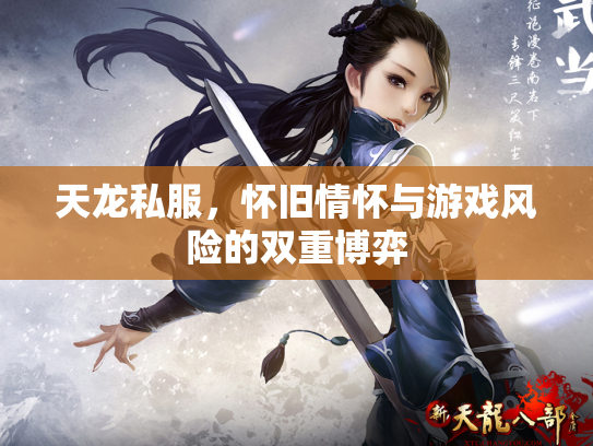 天龙私服，怀旧情怀与游戏风险的双重博弈