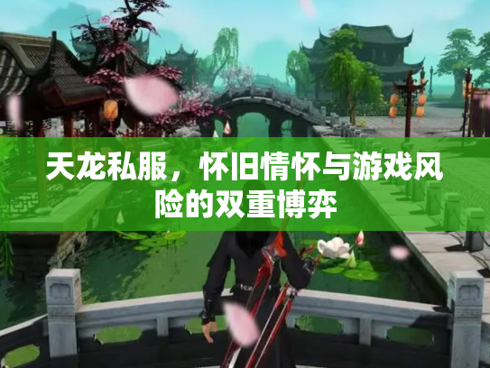 天龙私服，怀旧情怀与游戏风险的双重博弈