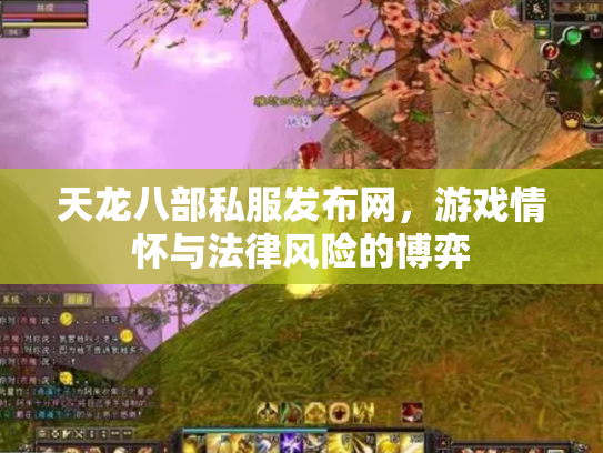 天龙八部私服发布网，游戏情怀与法律风险的博弈