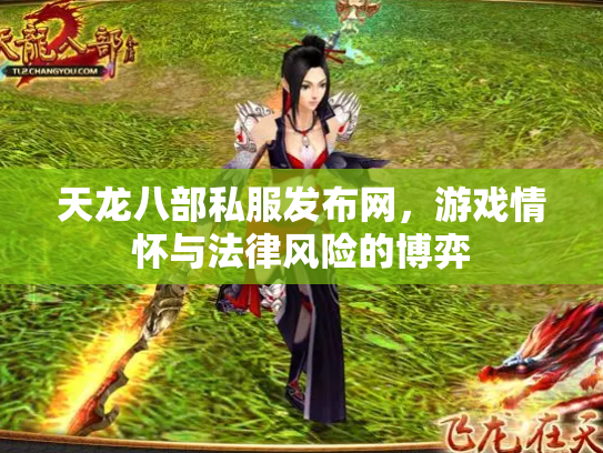 天龙八部私服发布网，游戏情怀与法律风险的博弈