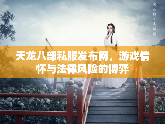 天龙八部私服发布网，游戏情怀与法律风险的博弈