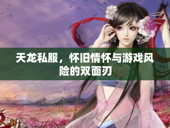天龙私服，怀旧情怀与游戏风险的双面刃