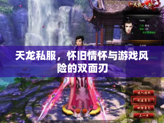 天龙私服，怀旧情怀与游戏风险的双面刃