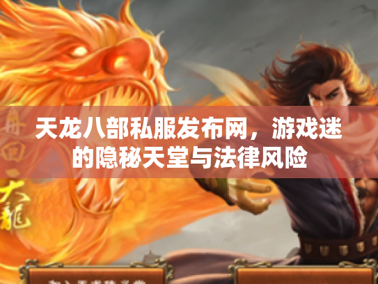 天龙八部私服发布网，游戏迷的隐秘天堂与法律风险