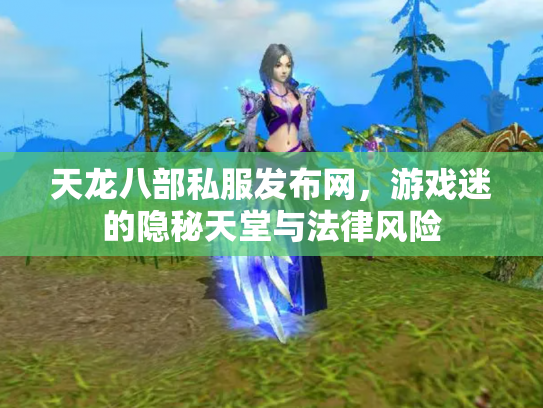 天龙八部私服发布网，游戏迷的隐秘天堂与法律风险