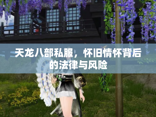 天龙八部私服，怀旧情怀背后的法律与风险