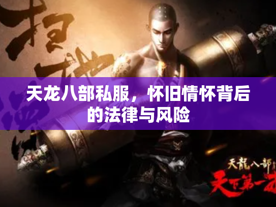 天龙八部私服，怀旧情怀背后的法律与风险
