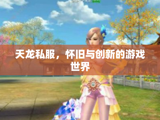 天龙私服，怀旧与创新的游戏世界