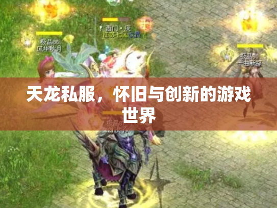 天龙私服，怀旧与创新的游戏世界