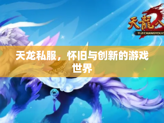 天龙私服，怀旧与创新的游戏世界
