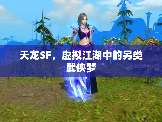 天龙SF，虚拟江湖中的另类武侠梦