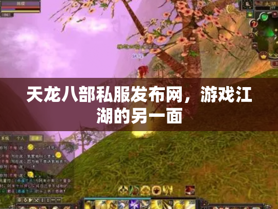 天龙八部私服发布网，游戏江湖的另一面