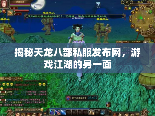 揭秘天龙八部私服发布网，游戏江湖的另一面