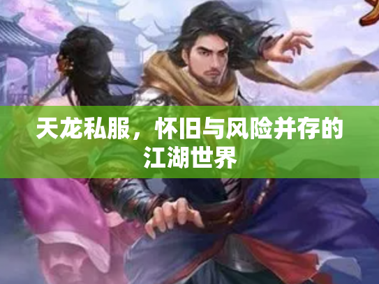 天龙私服，怀旧与风险并存的江湖世界