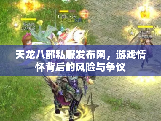 天龙八部私服发布网，游戏情怀背后的风险与争议