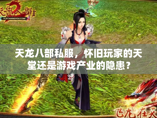 天龙八部私服，怀旧玩家的天堂还是游戏产业的隐患？