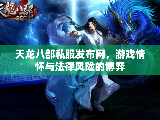 天龙八部私服发布网，游戏情怀与法律风险的博弈