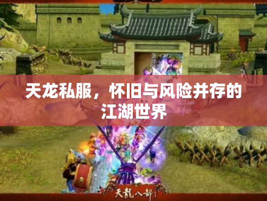 天龙私服，怀旧与风险并存的江湖世界