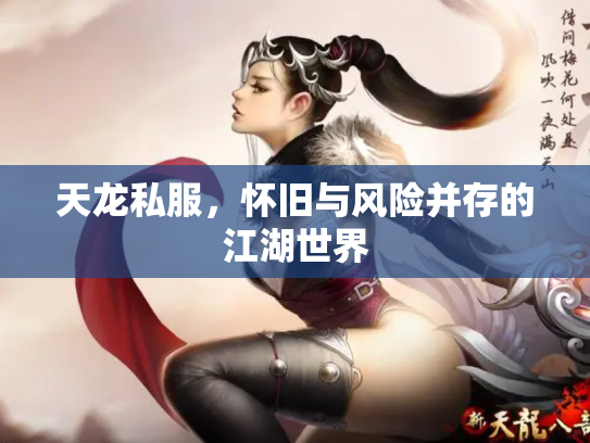 天龙私服，怀旧与风险并存的江湖世界