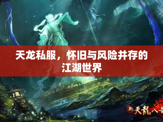 天龙私服，怀旧与风险并存的江湖世界
