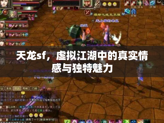 天龙sf，虚拟江湖中的真实情感与独特魅力