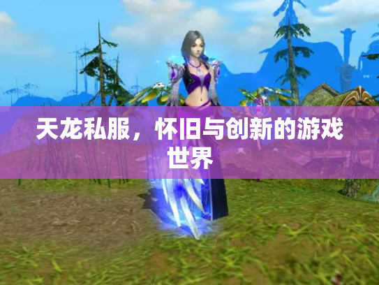 天龙私服，怀旧与创新的游戏世界