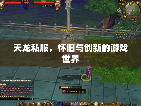 天龙私服，怀旧与创新的游戏世界