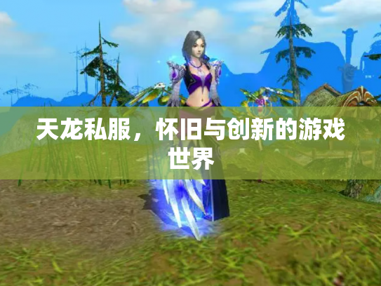 天龙私服，怀旧与创新的游戏世界