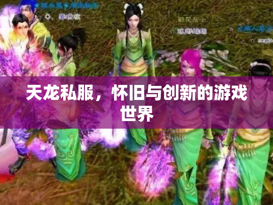 天龙私服，怀旧与创新的游戏世界