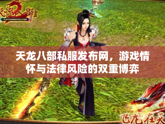 天龙八部私服发布网，游戏情怀与法律风险的双重博弈