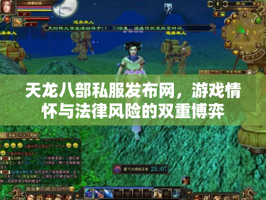 天龙八部私服发布网，游戏情怀与法律风险的双重博弈
