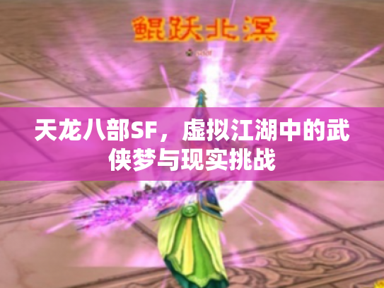 天龙八部SF，虚拟江湖中的武侠梦与现实挑战