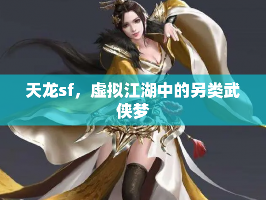 天龙sf，虚拟江湖中的另类武侠梦