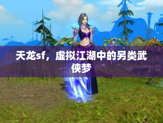 天龙sf，虚拟江湖中的另类武侠梦
