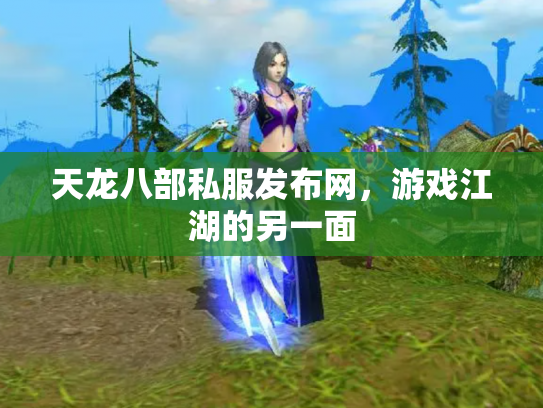 天龙八部私服发布网，游戏江湖的另一面