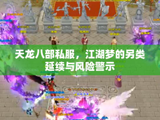 天龙八部私服，江湖梦的另类延续与风险警示
