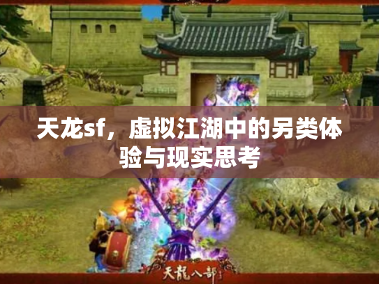天龙sf，虚拟江湖中的另类体验与现实思考