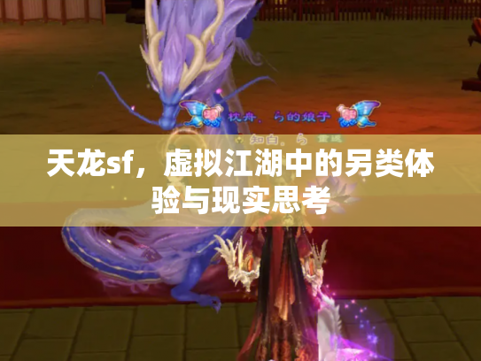 天龙sf，虚拟江湖中的另类体验与现实思考